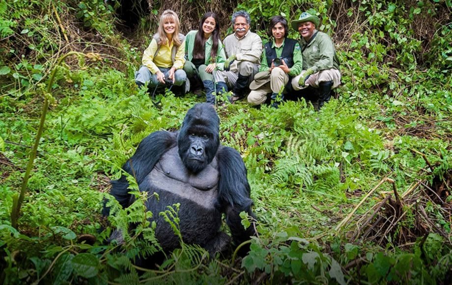 4 Days Uganda Rwanda gorilla safari