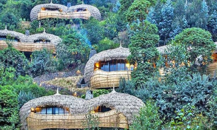 Best Luxury Gorilla Lodges in Rwanda