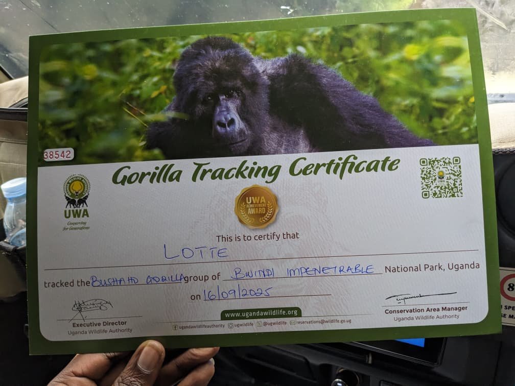 Luxury Gorilla Trekking Permit Availability
