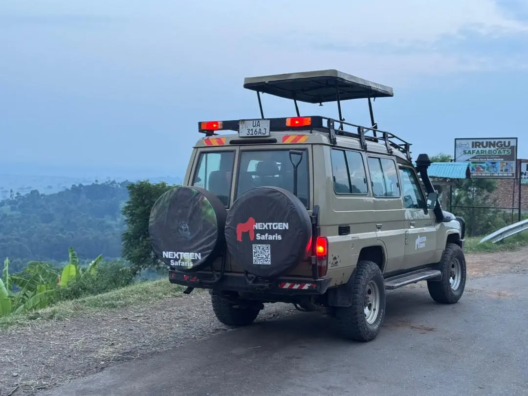 Safari Transport Experience