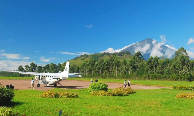 4 Day Fly In Bwindi Double Gorilla Trekking Tour