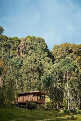 Luxury Gorilla Lodge Experience in Rwanda