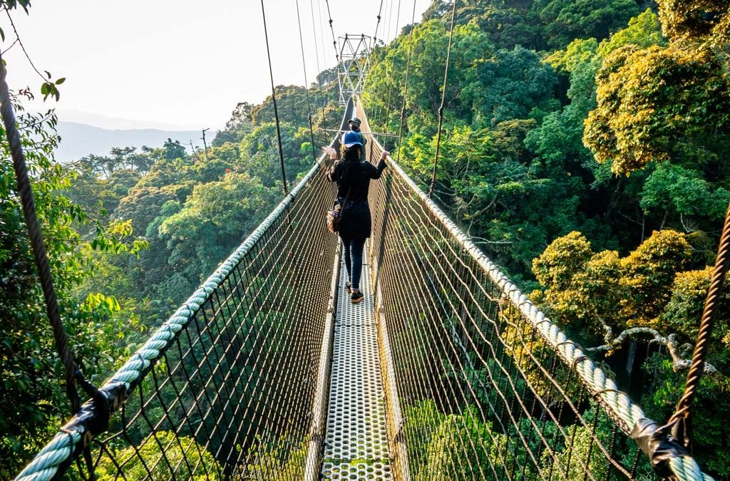 6 Days Nyungwe National Park and Lake Kivu Safari