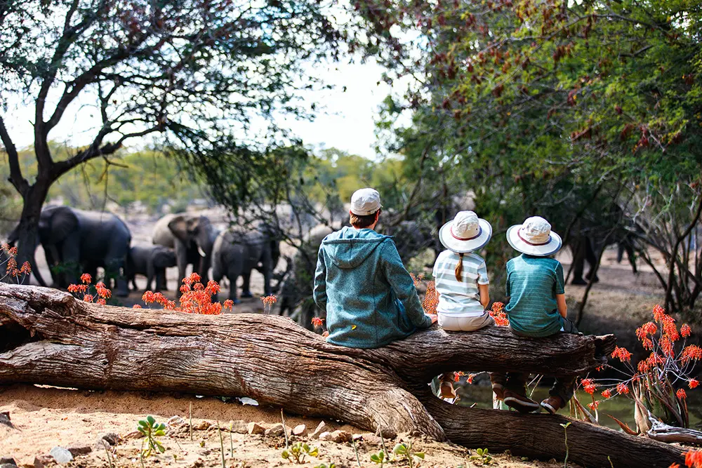 African Family Safaris With Kids Botswana