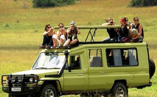 Best Time to Visit Uganda for Safari