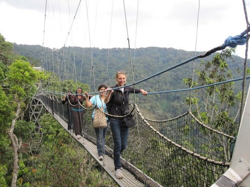 Canopy Walkway in Nyungwe National Park Rwanda