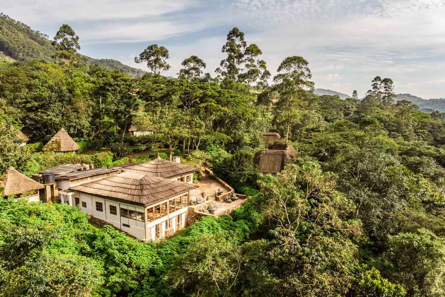 Best Luxury Gorilla Lodges in Uganda