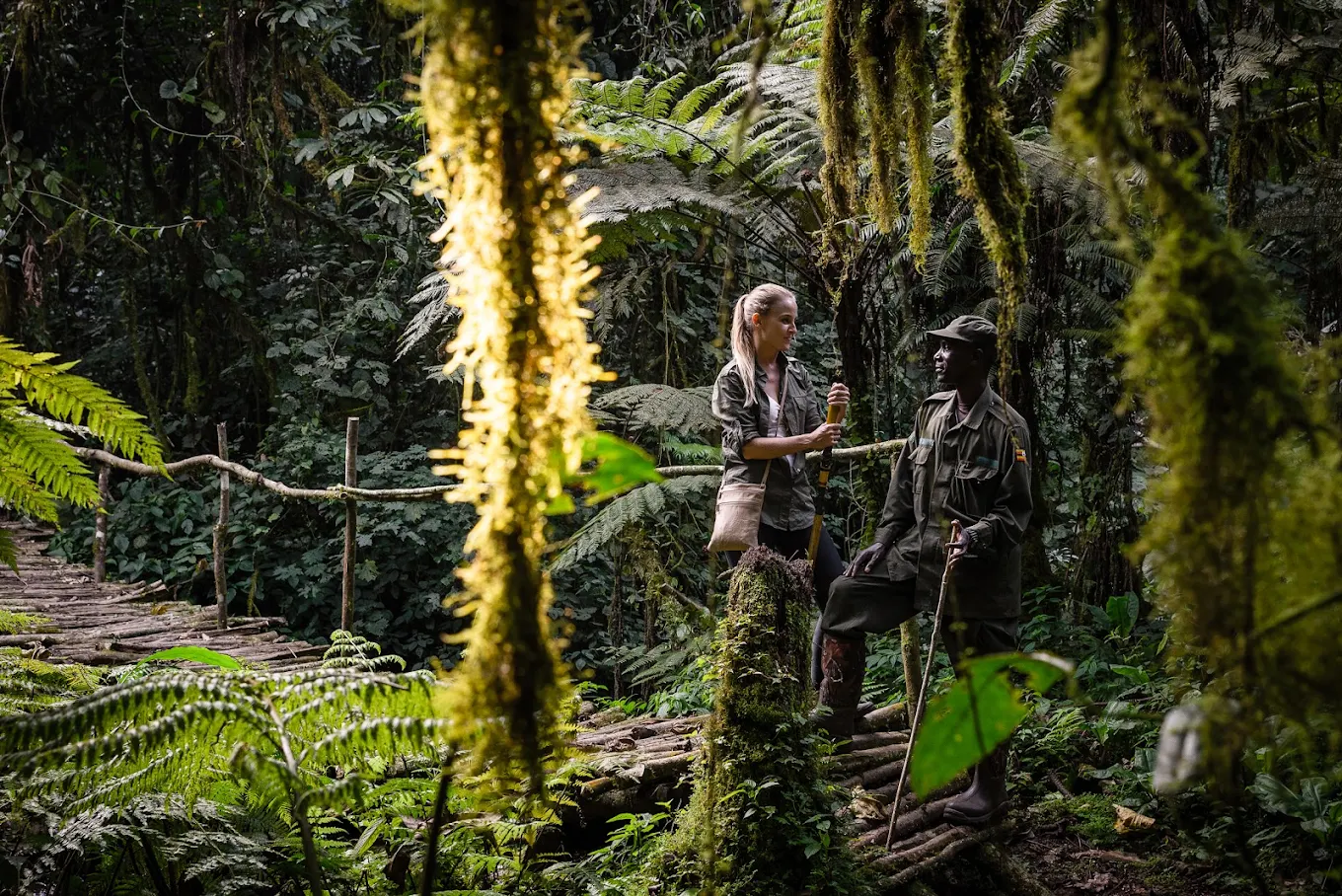 Gorilla Forest Lodge in Bwindi Uganda