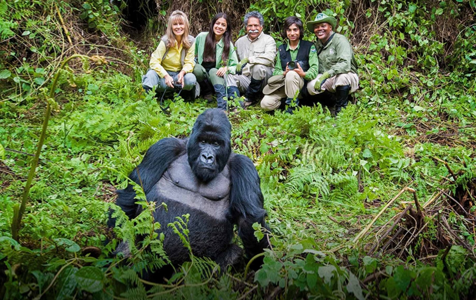 Gorilla Trekking Safaris in Rwanda