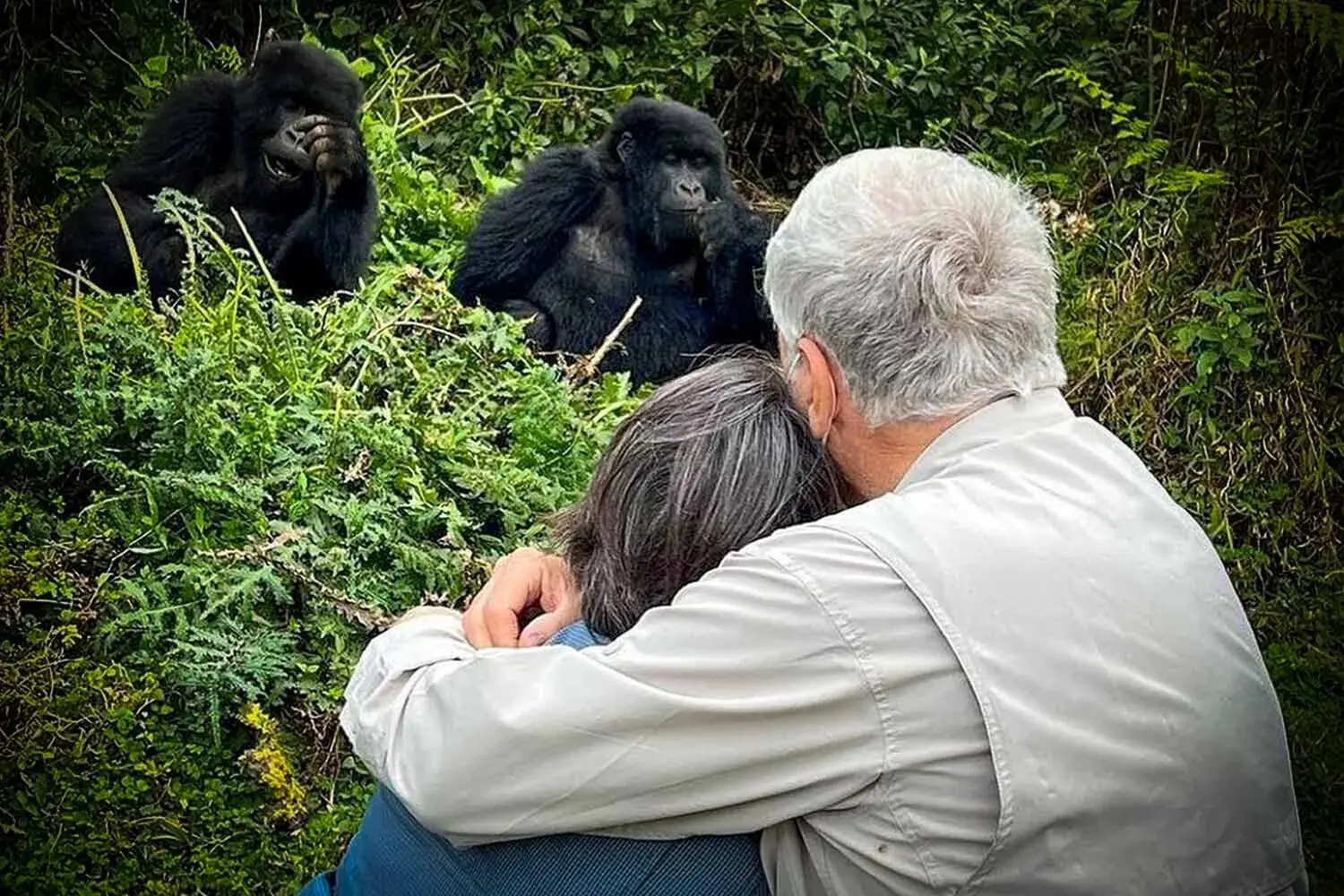 Gorilla Trekking with Grandparents in Rwanda and Uganda