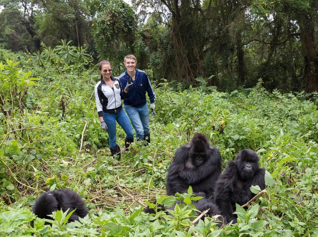 Gorilla Trekking in Rwanda