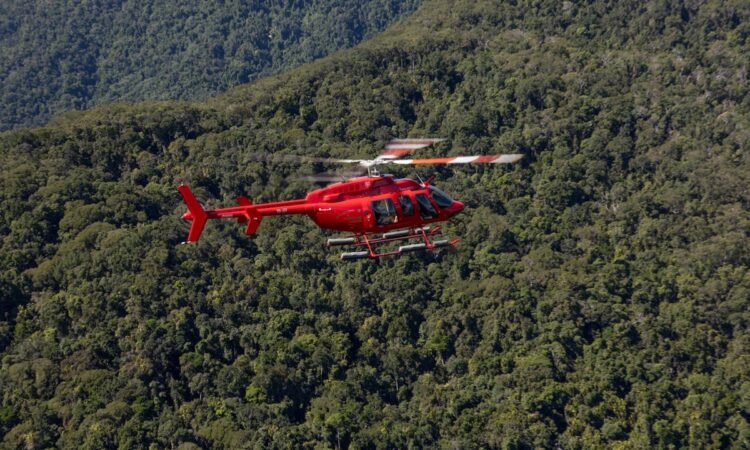 Helicopter Gorilla Safari Experience in Rwanda