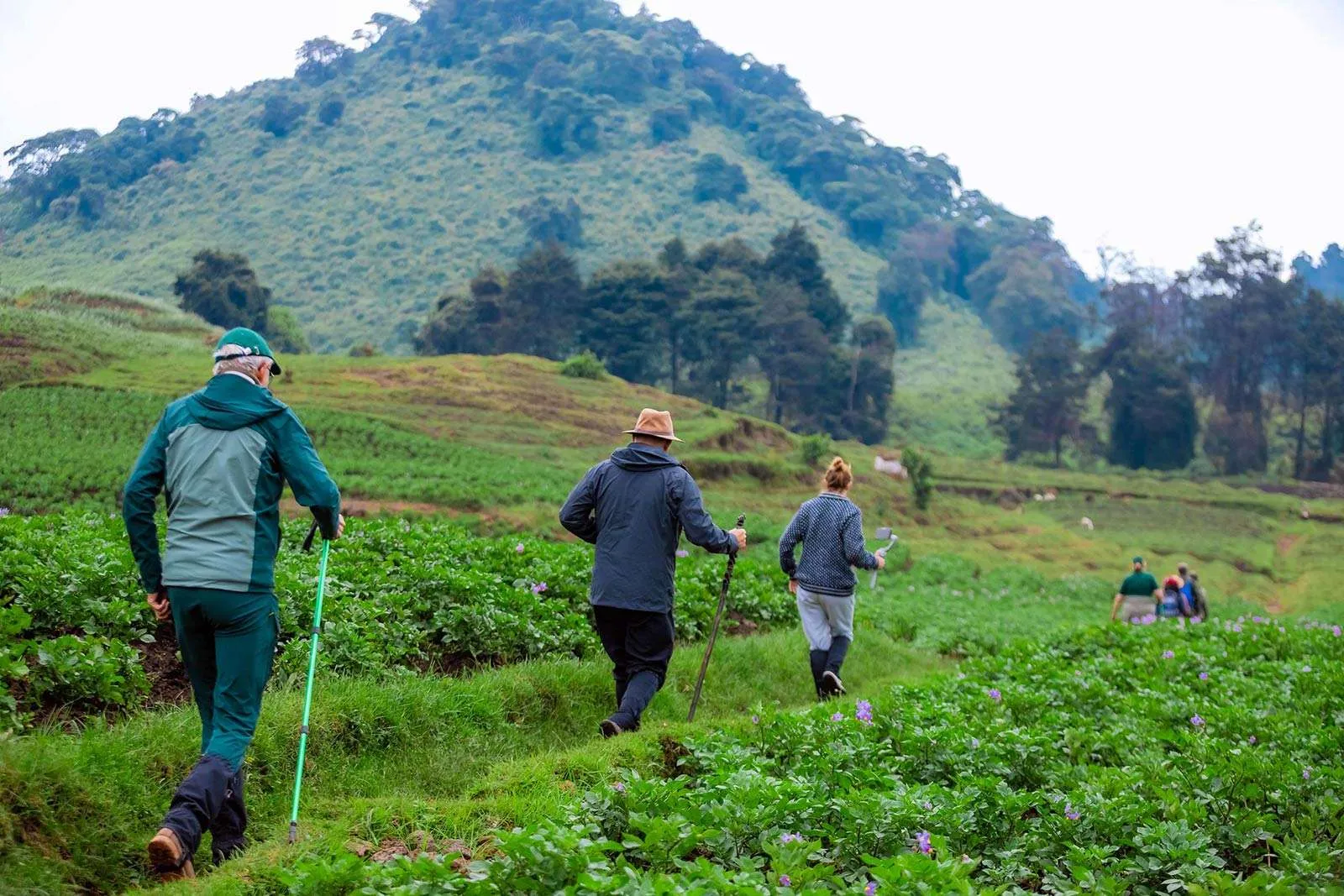 Hiking Mount Kigali in Rwanda
