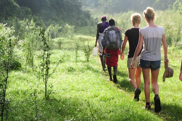 Family Safari Experience in Africa