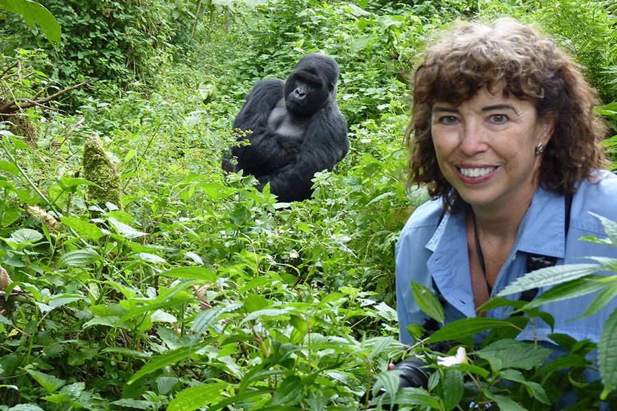 Last Minute Luxury Gorilla Safaris in Uganda