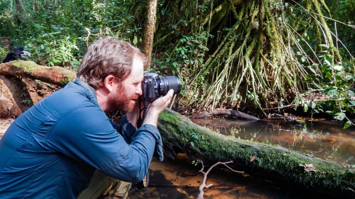 Luxury Gorilla Safaris for Photographers