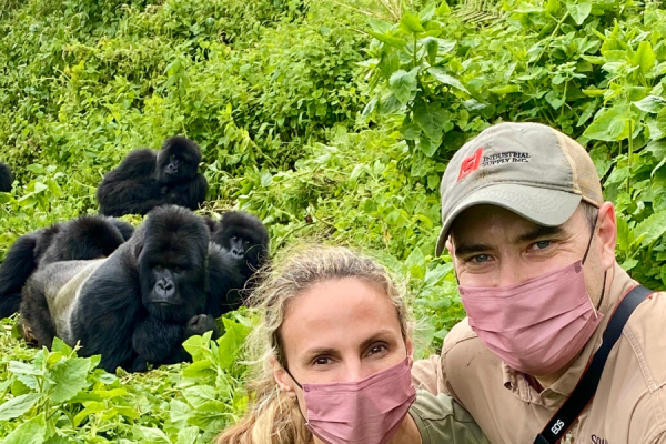 Luxury Gorilla Trekking for Honeymooners