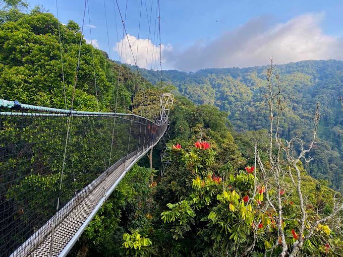 Nyungwe Forest National Park Rwanda