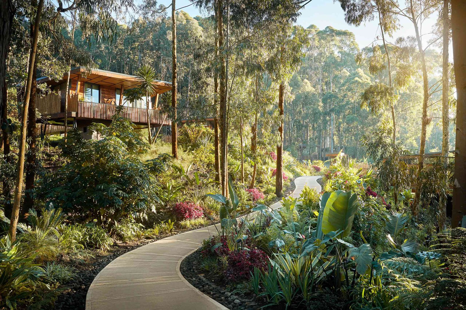 OneOnly Gorilla's Nest Kinigi Rwanda