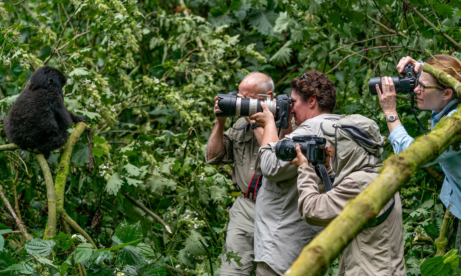 Photography Equipment for Capturing Luxury Gorilla Safari Memories