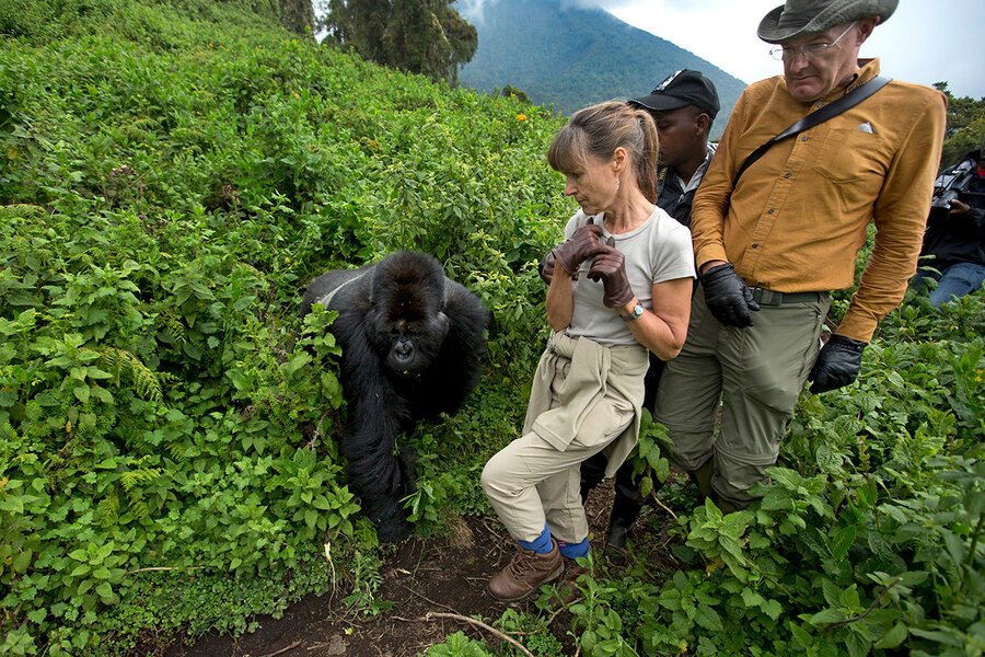 Romantic Experiences Beyond Gorilla Trekking