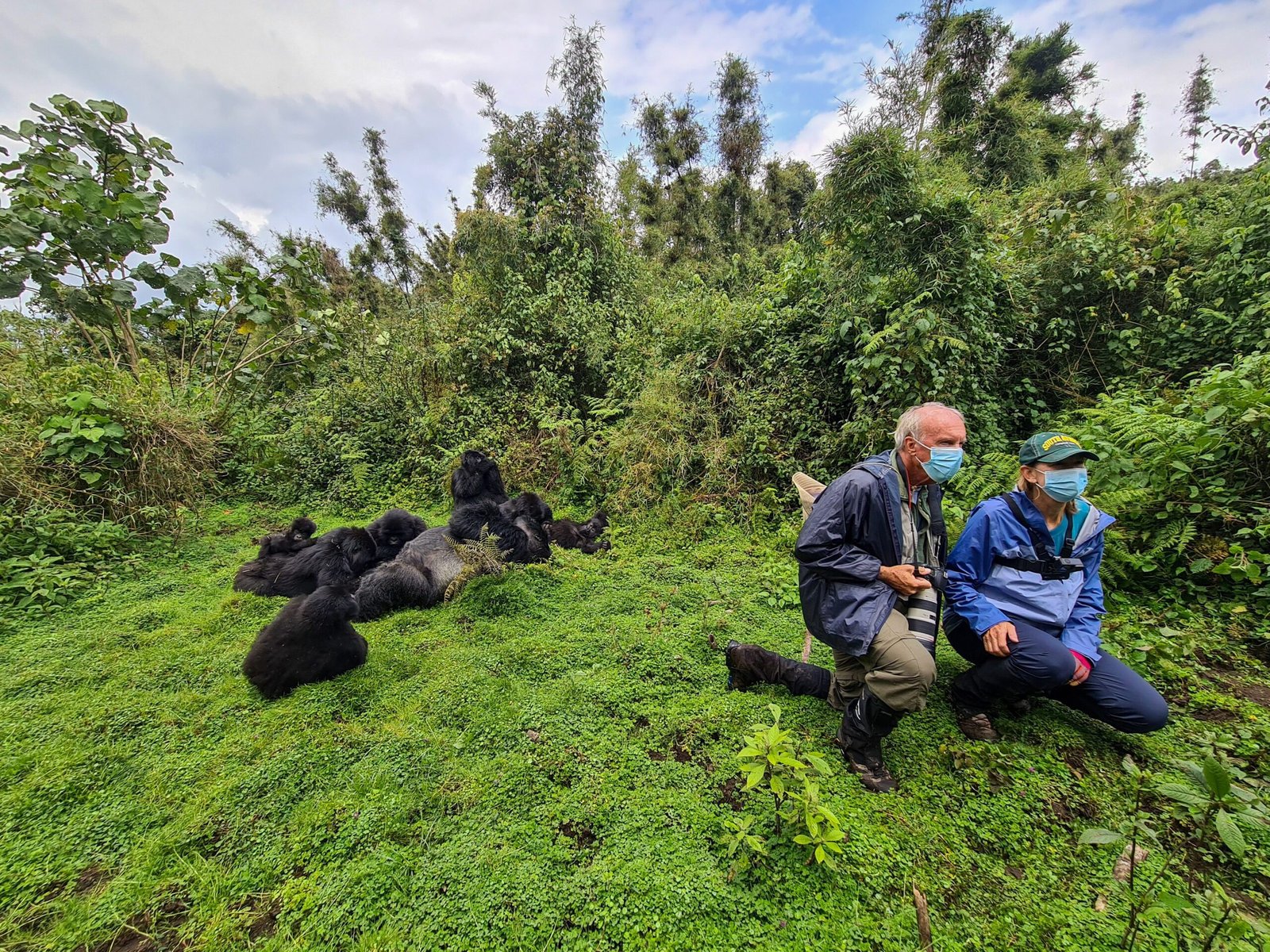 Rwanda Gorilla Trekking Experience