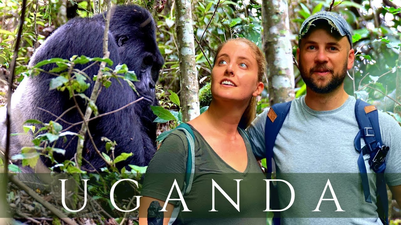 Short Uganda Gorilla Safari from Kigali