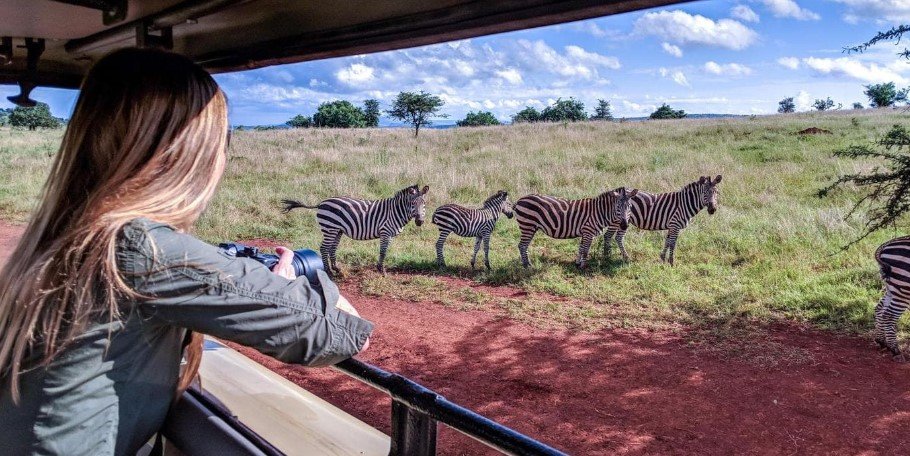 Small Group Akagera National Park Safaris
