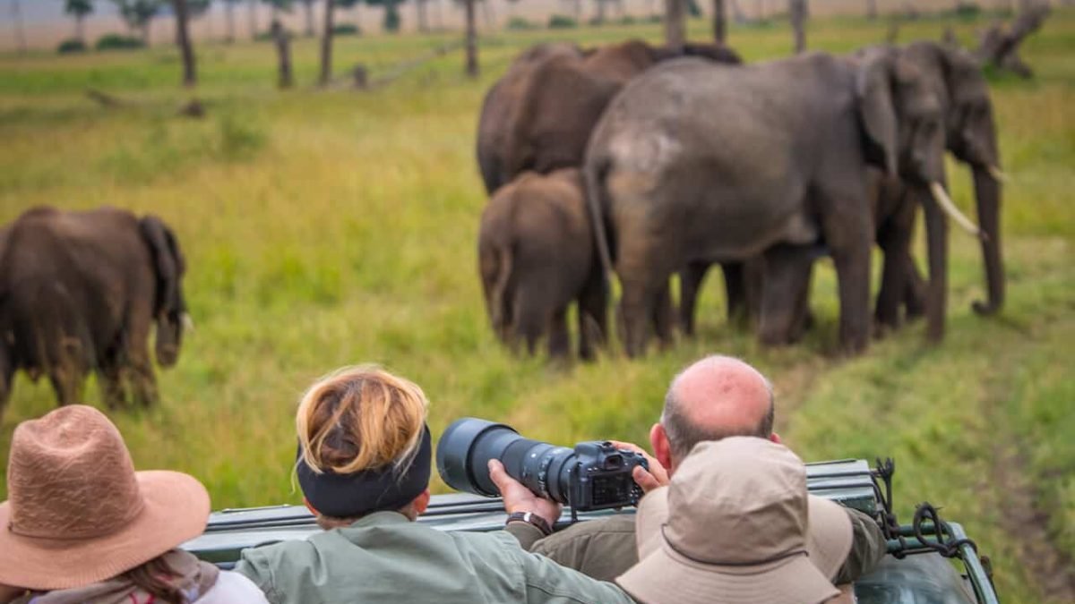 Small Group Rwanda Photography Safaris