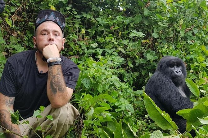 Solo Luxury Gorilla Trekking Tours