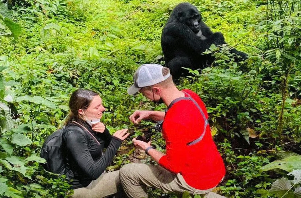 Romantic Mountain Gorilla Trekking for Couples
