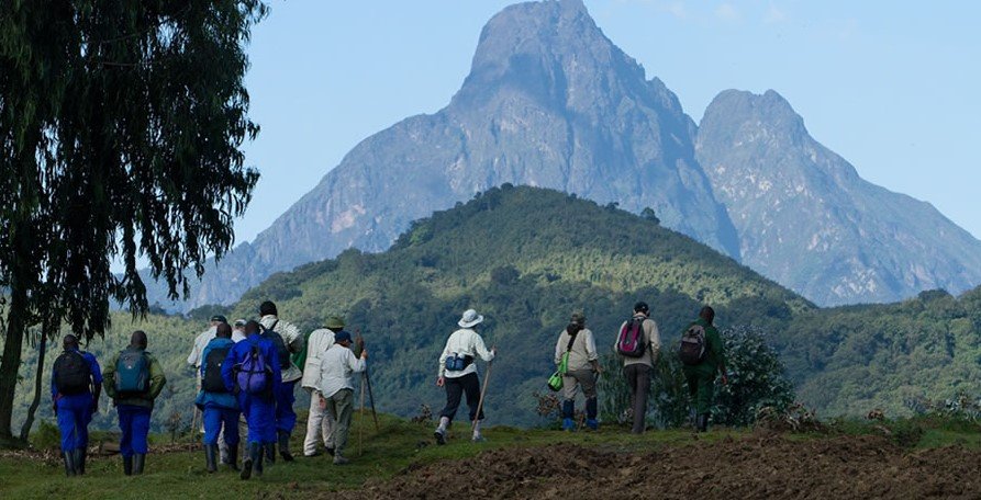 Volcanoes National Park Rwanda