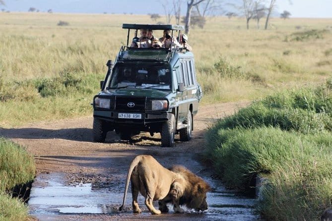 Rwanda Family Safari Experience