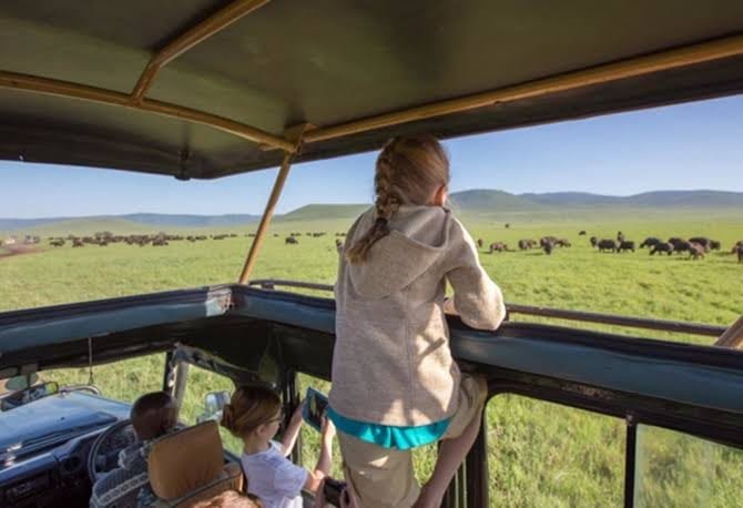 Rwanda Safari Experience