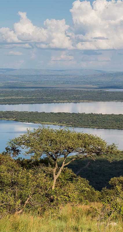 Rwanda Family Safari Experience