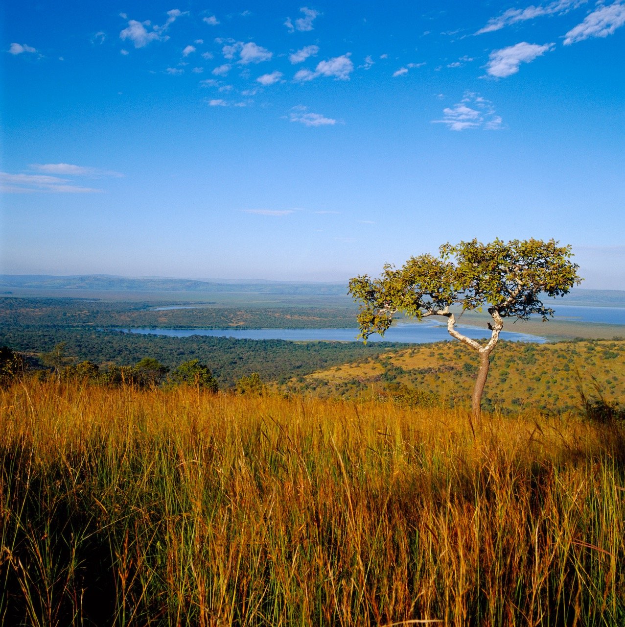 Rwanda Safari Experience