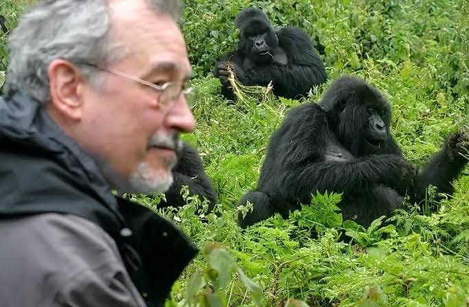 Rwanda Safari Experience