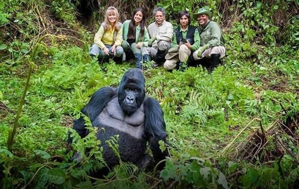 Rwanda Family Safari Experience