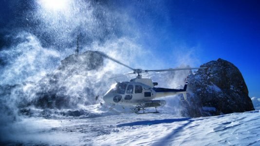 Winter Safari Operations Experience