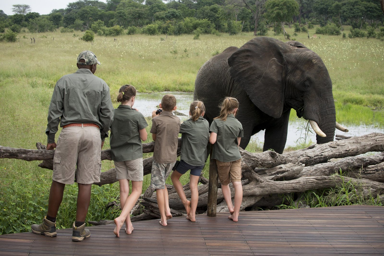 Luxury African Bush Camp Safari