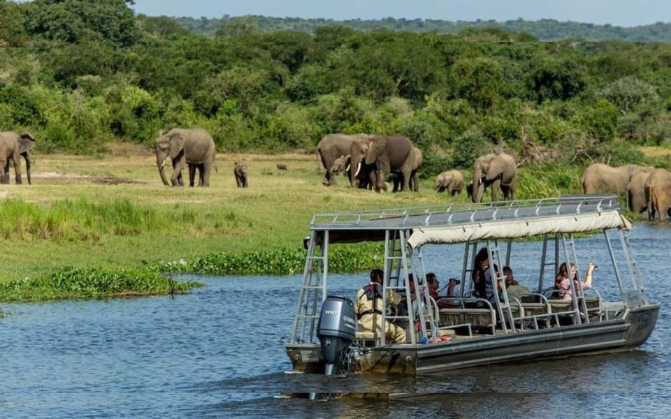 Boat Cruises on Lake Ihema in Akagera National Park