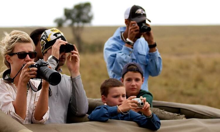 Family Safari Experience