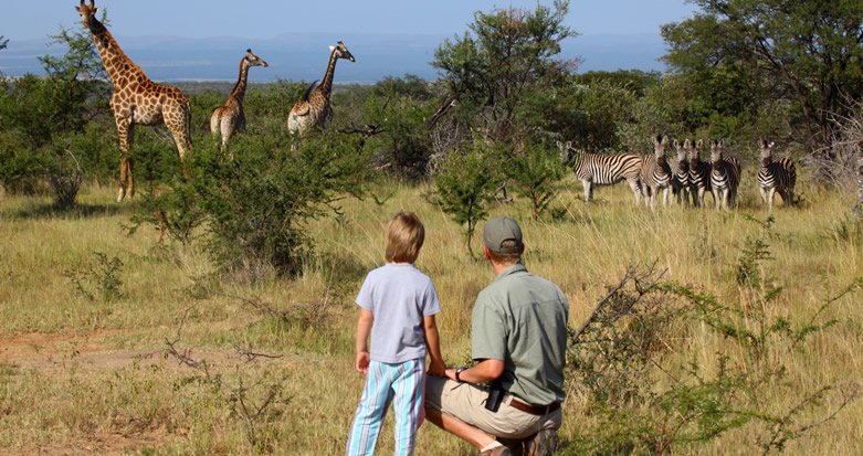 Family Safari in Africa
