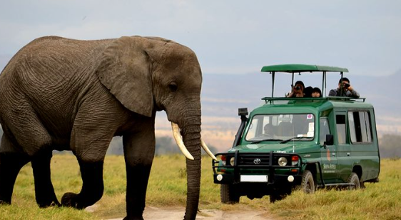 Akagera Wildlife Safari Rwanda