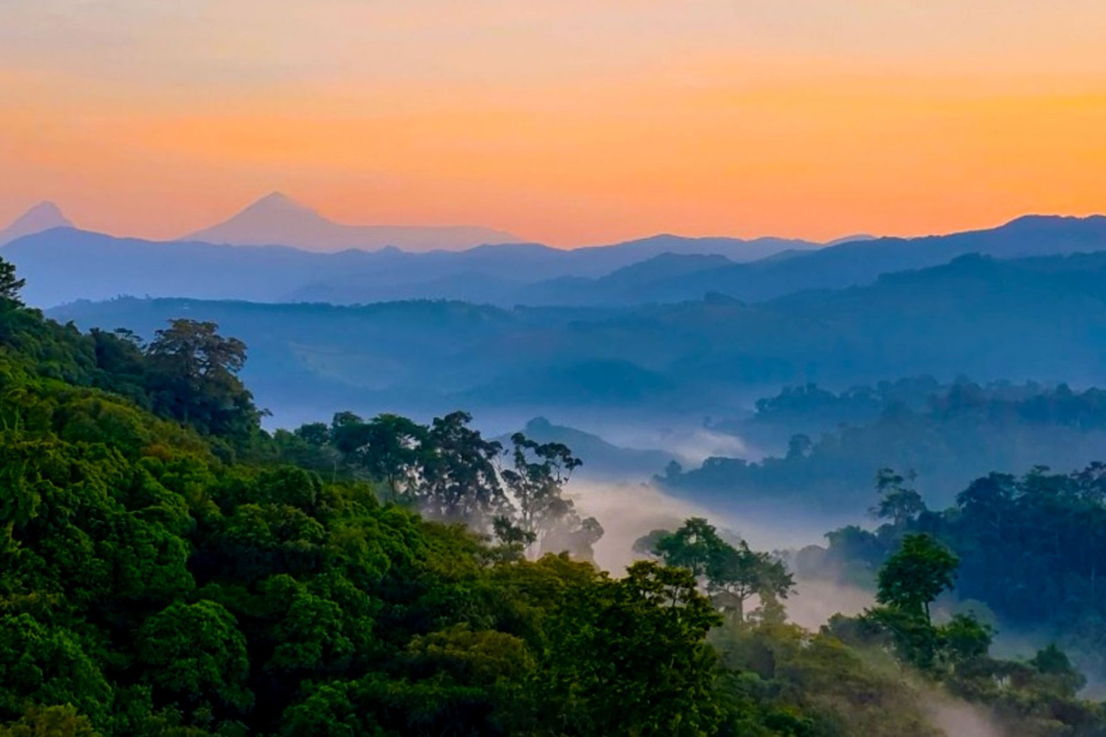 Gishwati Mukura National Park Rwanda