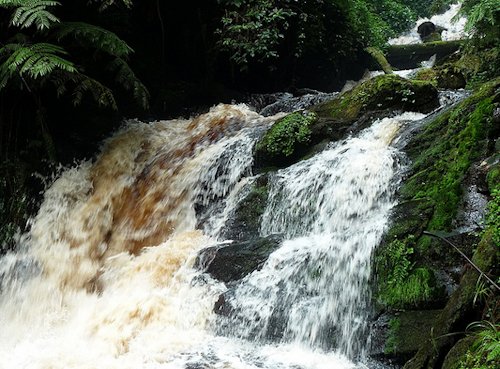 Isumo waterfall in Nyungwe Rwanda