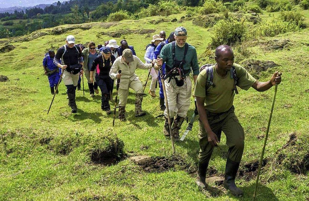 Mount Karisimbi Hiking Rwanda
