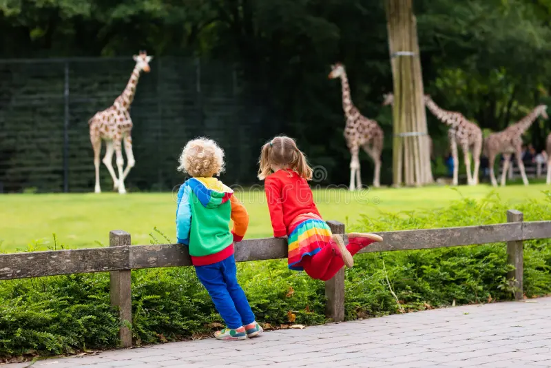 Wildlife Watching with Children