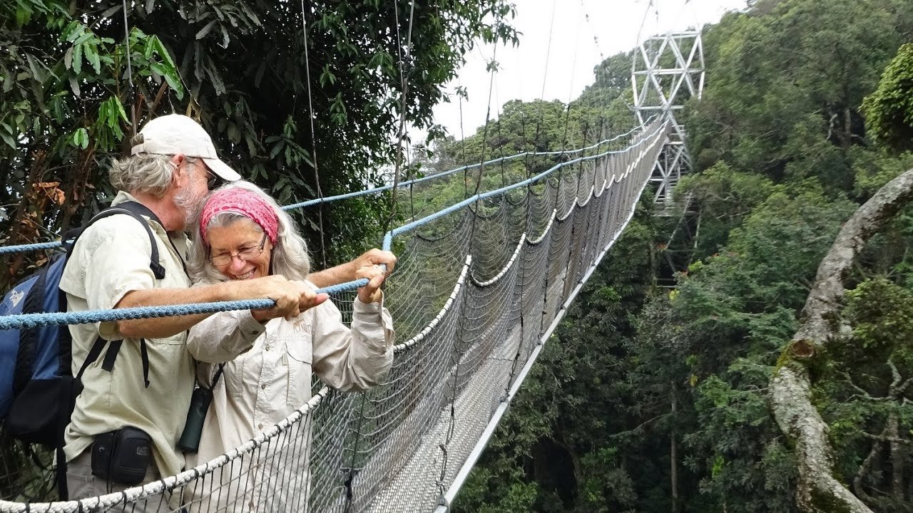 Rwanda Gorilla Safari Experience