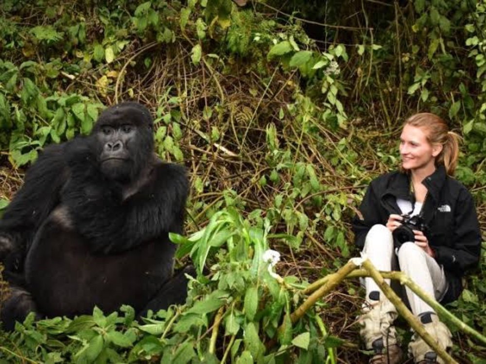 Mountain Gorillas in Rwanda with Nextgen Safaris